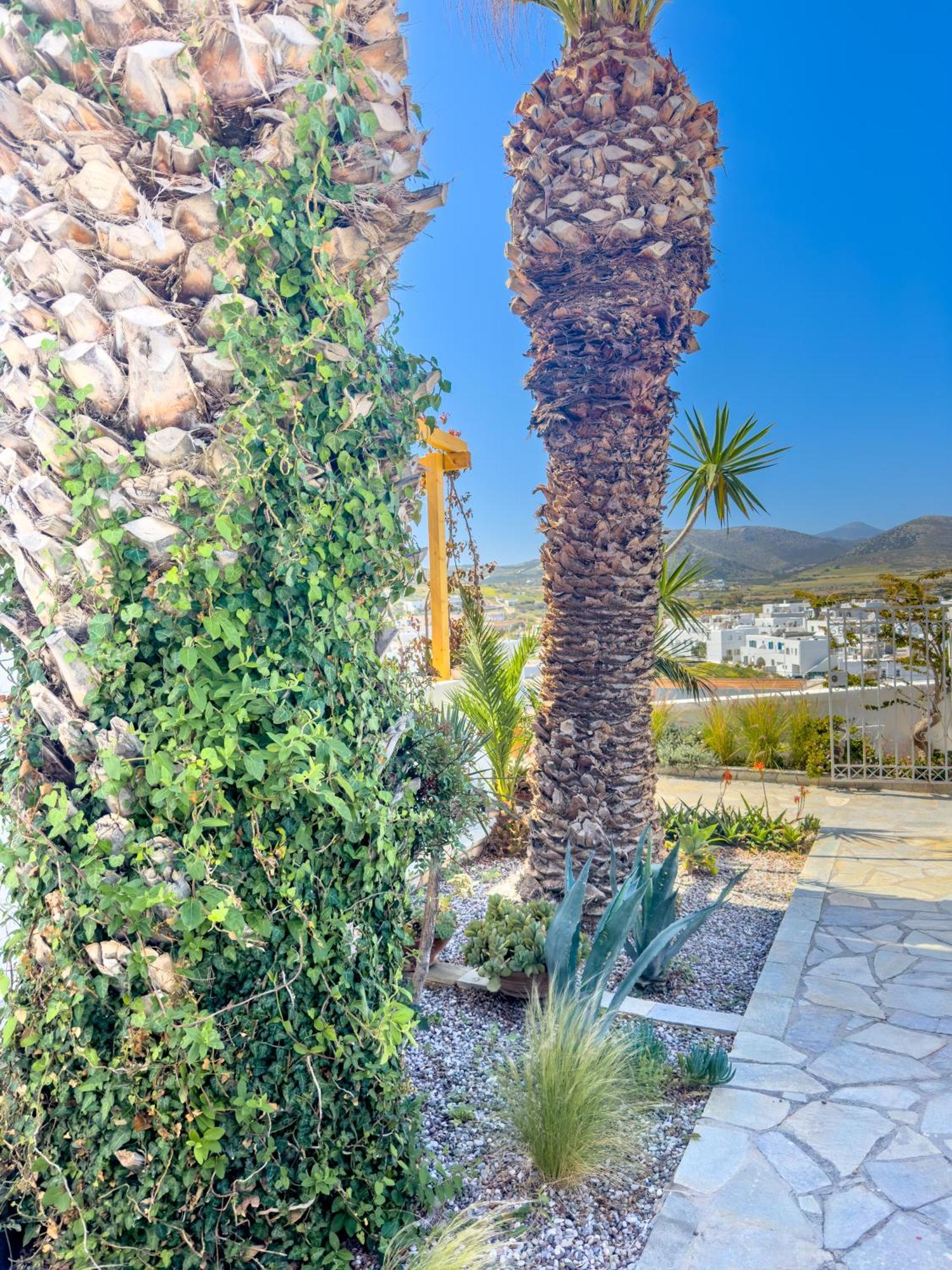 Kefalas Studio In Naousa Dış mekan fotoğraf